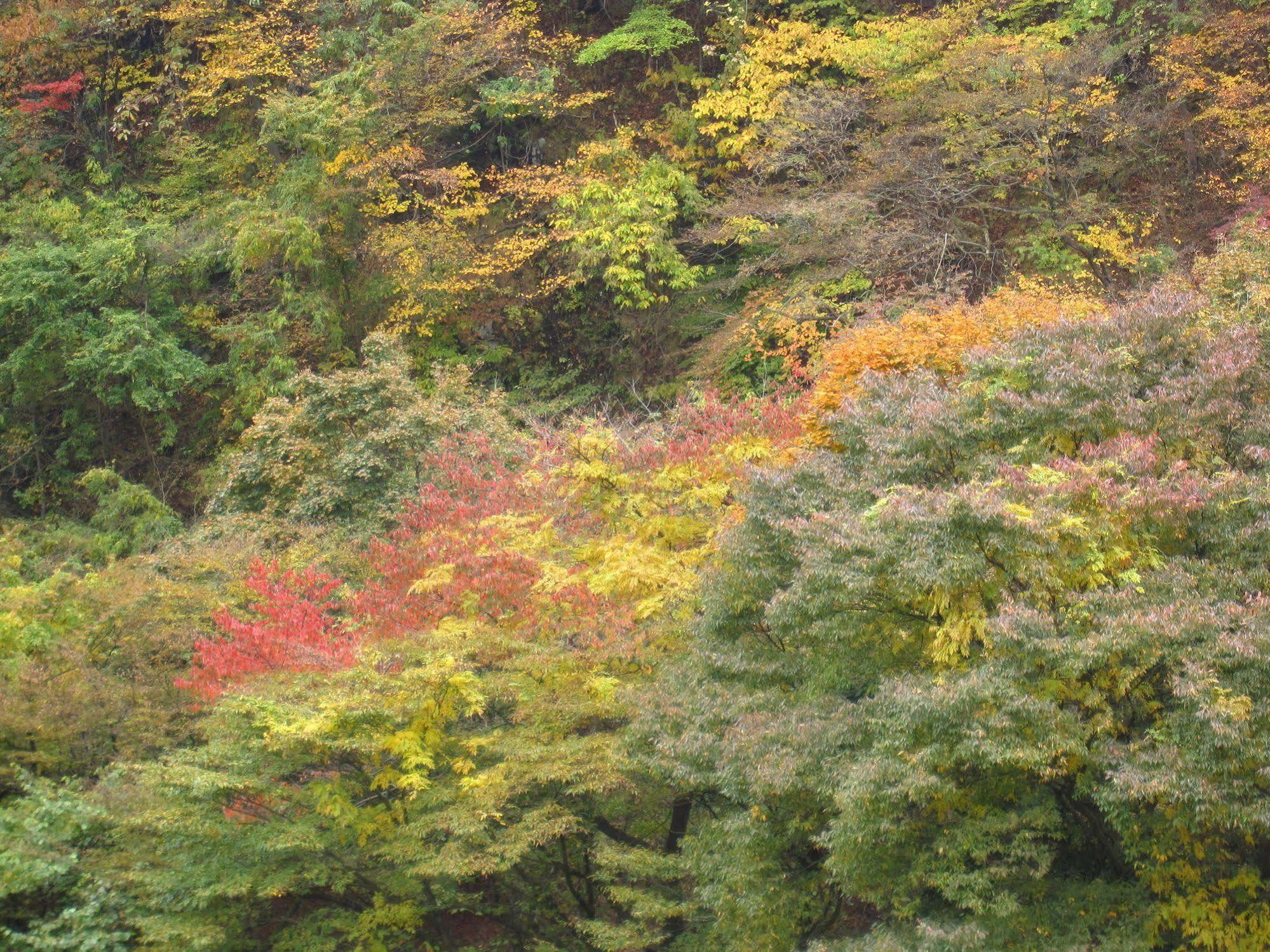Koduchi No Yado Tsurukamedaikichi Hotel Nikko Bagian luar foto