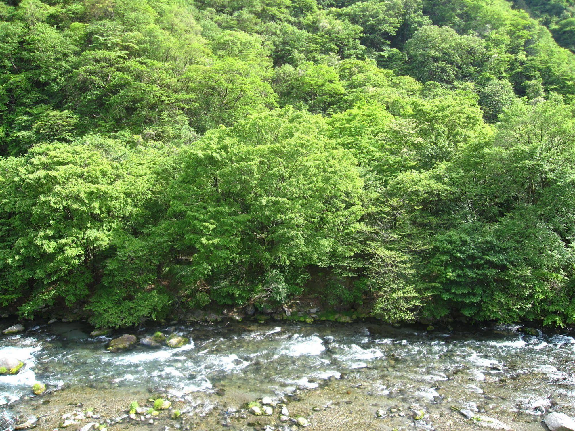 Koduchi No Yado Tsurukamedaikichi Hotel Nikko Bagian luar foto